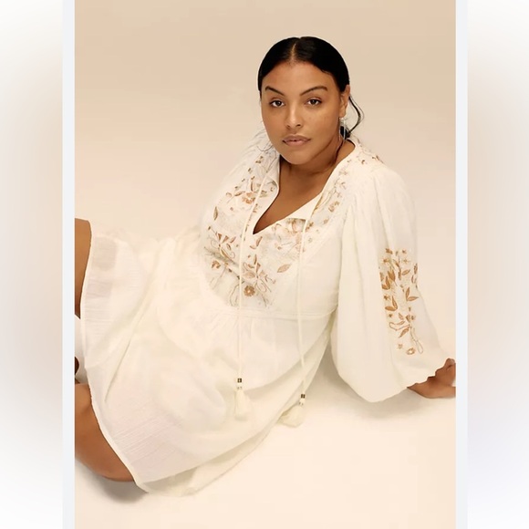 ANTHROPOLOGIE Viveka embroidered lace mini dress small - Picture 6 of 13